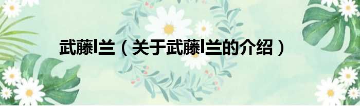 武藤l兰（关于武藤l兰的介绍）