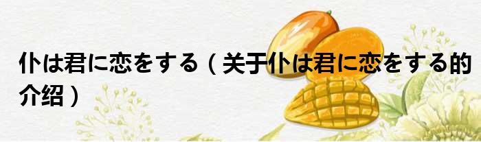 仆は君に恋をする（关于仆は君に恋をする的介绍）