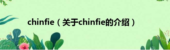 chinfie（关于chinfie的介绍）