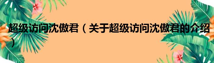 超级访问沈傲君（关于超级访问沈傲君的介绍）