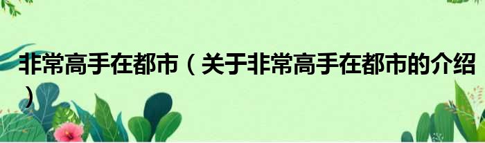 非常高手在都市（关于非常高手在都市的介绍）