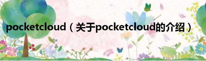 pocketcloud（关于pocketcloud的介绍）