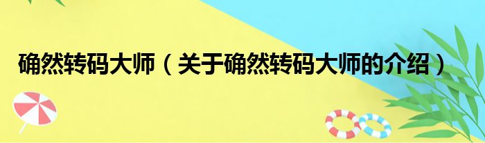确然转码大师（关于确然转码大师的介绍）