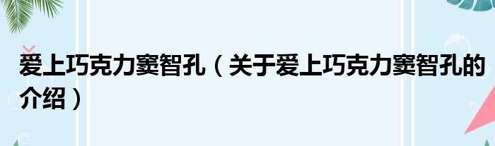 爱上巧克力窦智孔（关于爱上巧克力窦智孔的介绍）