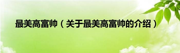 最美高富帅（关于最美高富帅的介绍）