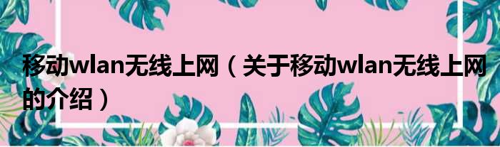 移动wlan无线上网（关于移动wlan无线上网的介绍）