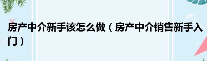 房产中介新手该怎么做（房产中介销售新手入门）