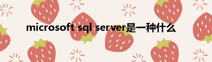 microsoft sql server是一种什么