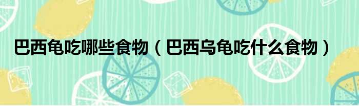 巴西龟吃哪些食物（巴西乌龟吃什么食物）