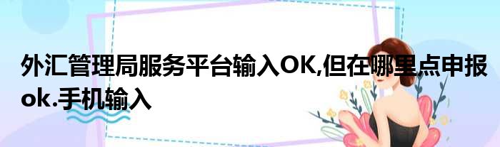 外汇管理局服务平台输入OK,但在哪里点申报ok.手机输入