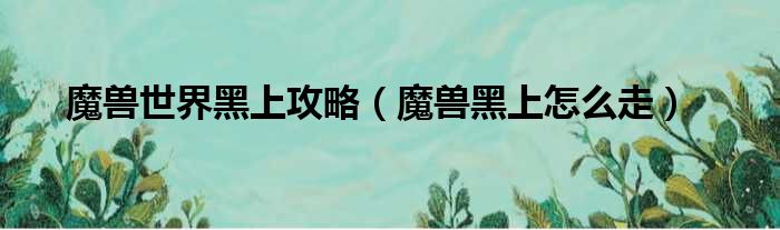 魔兽世界黑上攻略（魔兽黑上怎么走）