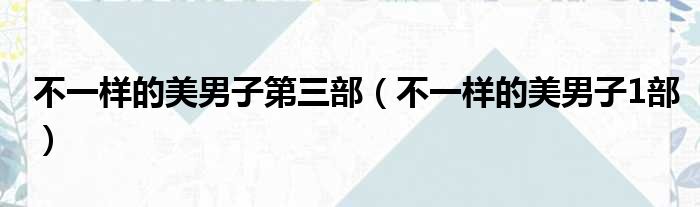 不一样的美男子第三部（不一样的美男子1部）