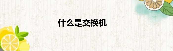 什么是交换机