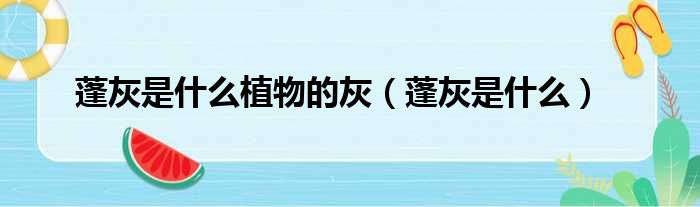 蓬灰是什么植物的灰（蓬灰是什么）
