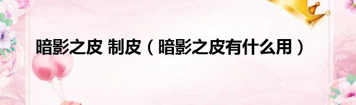 暗影之皮 制皮（暗影之皮有什么用）