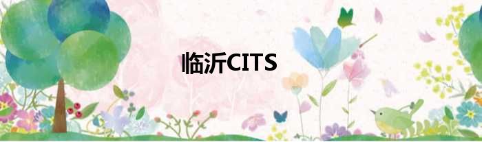 临沂CITS