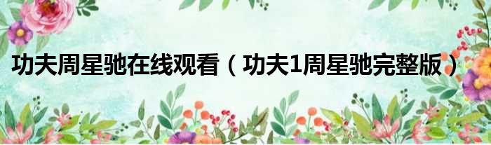 功夫周星驰在线观看（功夫1周星驰完整版）