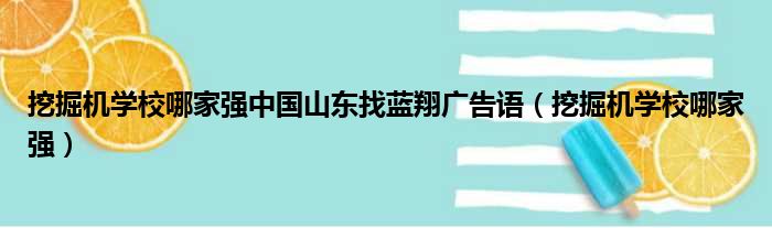 挖掘机学校哪家强中国山东找蓝翔广告语（挖掘机学校哪家强）