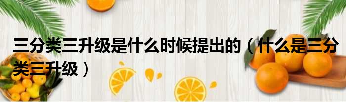 三分类三升级是什么时候提出的（什么是三分类三升级）