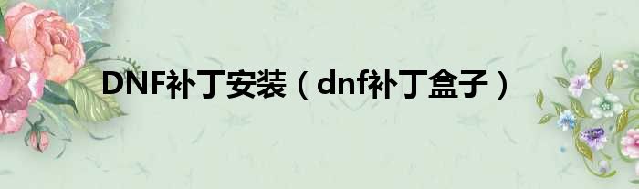 DNF补丁安装（dnf补丁盒子）