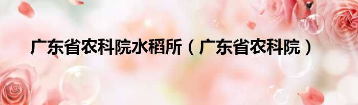 广东省农科院水稻所（广东省农科院）