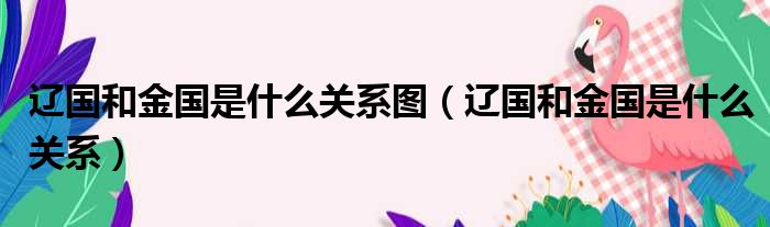 辽国和金国是什么关系图（辽国和金国是什么关系）