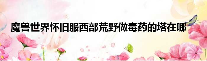 魔兽世界怀旧服西部荒野做毒药的塔在哪