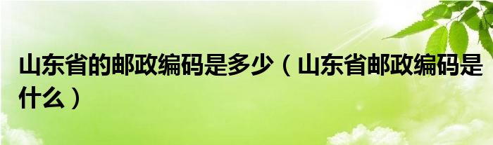 山东省的邮政编码是多少（山东省邮政编码是什么）