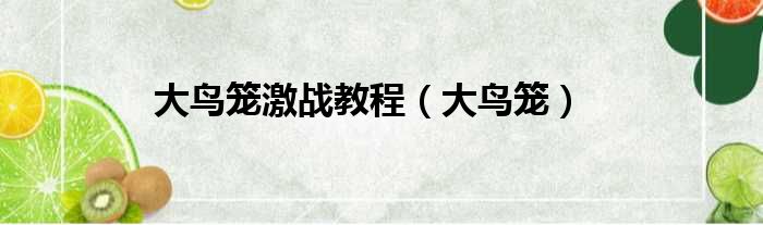 大鸟笼激战教程（大鸟笼）