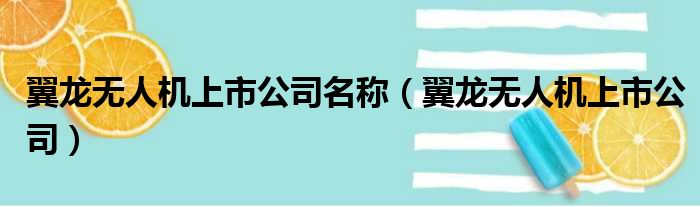 翼龙无人机上市公司名称（翼龙无人机上市公司）