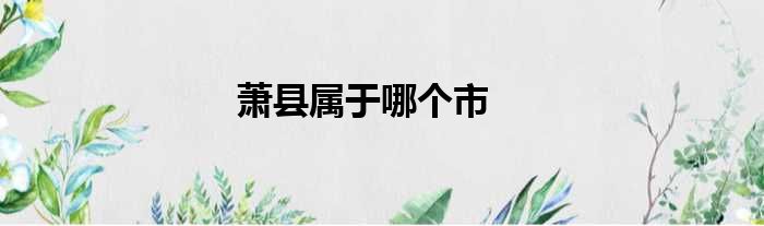 萧县属于哪个市