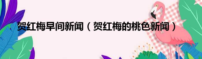 贺红梅早间新闻（贺红梅的桃色新闻）