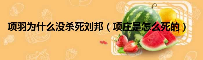 项羽为什么没杀死刘邦（项庄是怎么死的）