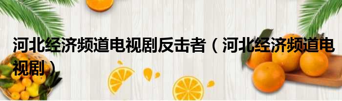 河北经济频道电视剧反击者（河北经济频道电视剧）
