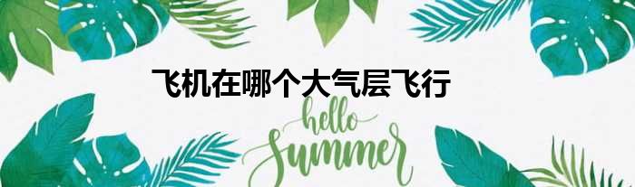 飞机在哪个大气层飞行
