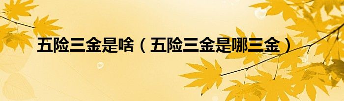 五险三金是啥（五险三金是哪三金）