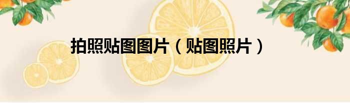 拍照贴图图片（贴图照片）