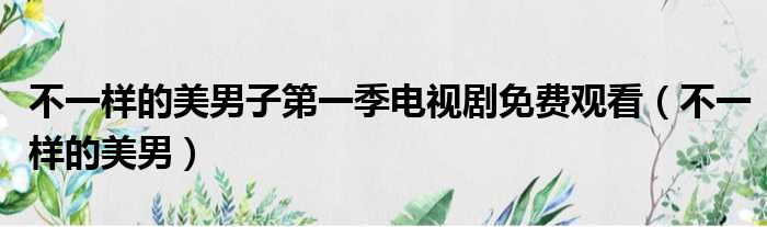 不一样的美男子第一季电视剧免费观看（不一样的美男）