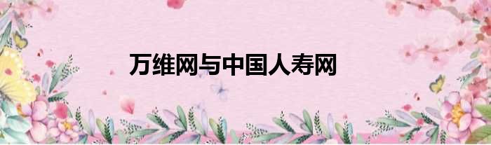 万维网与中国人寿网