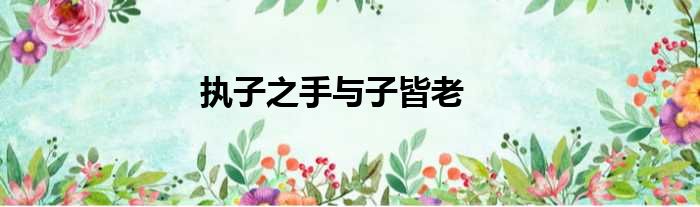 执子之手与子皆老