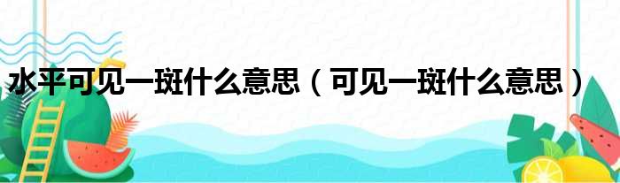 水平可见一斑什么意思（可见一斑什么意思）