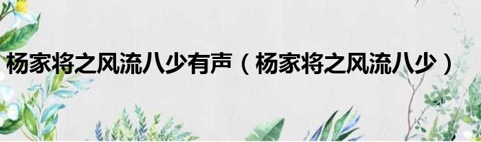 杨家将之风流八少有声（杨家将之风流八少）