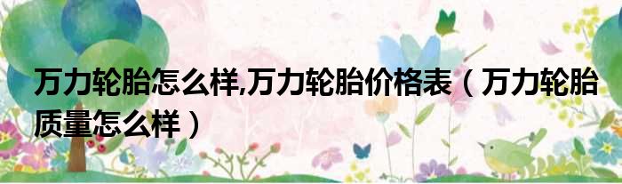 万力轮胎怎么样,万力轮胎价格表（万力轮胎质量怎么样）