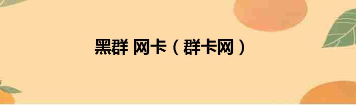 黑群 网卡（群卡网）