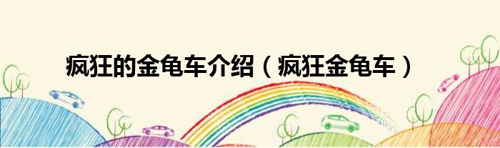 疯狂的金龟车介绍（疯狂金龟车）