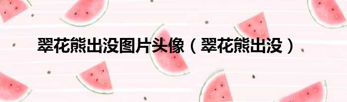 翠花熊出没图片头像（翠花熊出没）