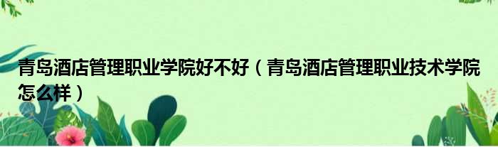 青岛酒店管理职业学院好不好（青岛酒店管理职业技术学院怎么样）
