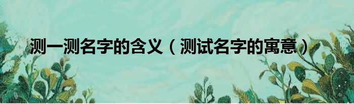 测一测名字的含义（测试名字的寓意）