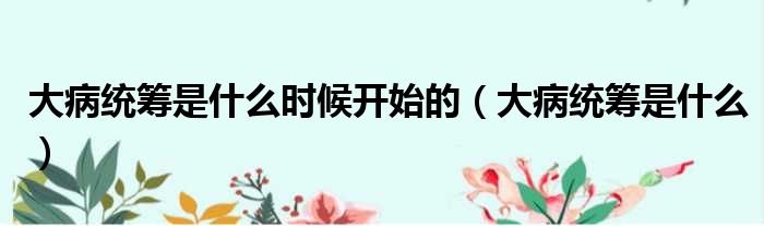 大病统筹是什么时候开始的（大病统筹是什么）