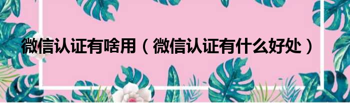 微信认证有啥用（微信认证有什么好处）